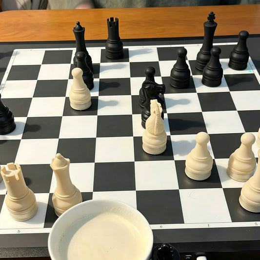 Magnetic Chessboard Set
